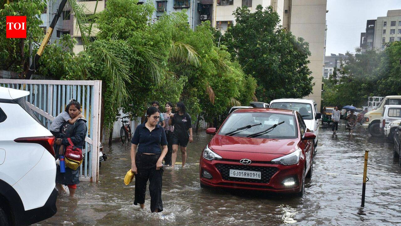 Parts of south Gujarat receive rain