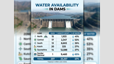 With 75% rain deficit so far, reservoirs have less than 50% water in Gujarat