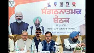 Punjab’s exporter industrialists meet BJP chief Nabin, seek tax relief to beat China.