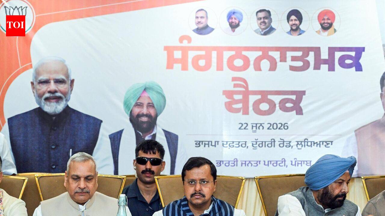 Punjab’s exporter industrialists meet BJP chief Nabin, seek tax relief to beat China.