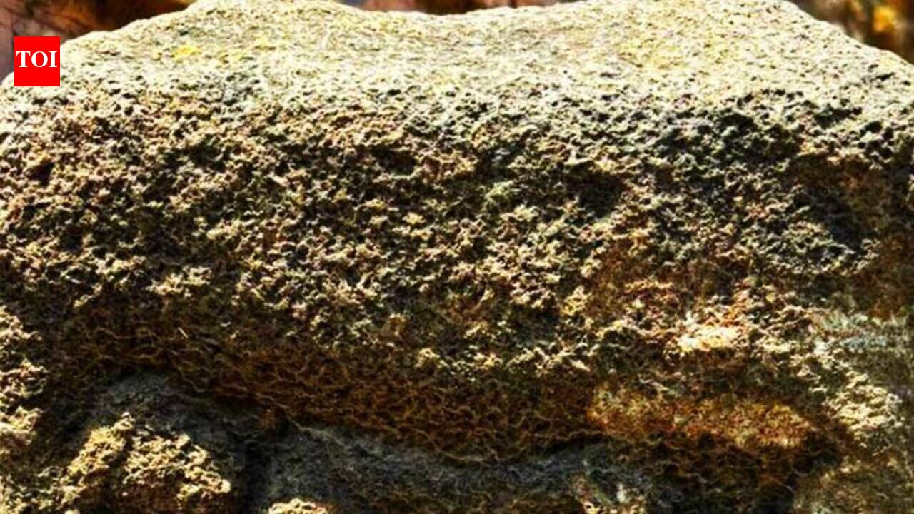 Rare 4-sided pillar with Buddha Parinirvana sculpture found in Adilabad