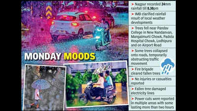 Relief After 24mm Rain In City, But Vidarbha Awaits Monsoon