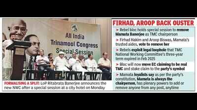 Rebel bloc removes Didi from TMC chief’s post, to tell EC it’s the ‘real party’