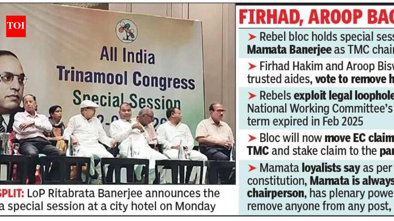 Rebel bloc removes Didi from TMC chief’s post, to tell EC it’s the ‘real party’