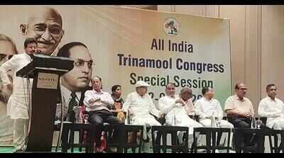 Rebel bloc removes Didi from TMC chief’s post, to tell EC it’s the ‘real party’