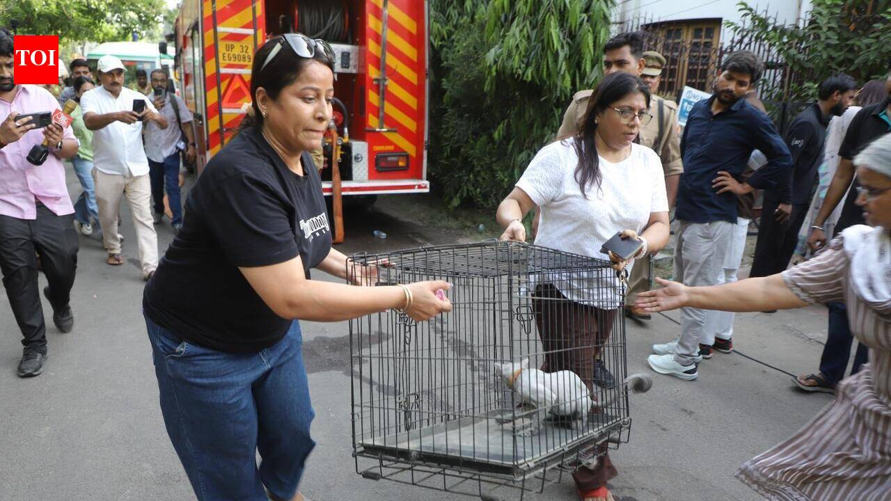 Hearts break as pets perish in blaze
