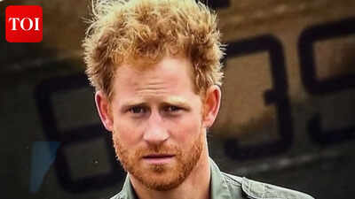 Former royal aide says Prince Harry and Prince William can reconcile: 'I'm a perennial optimist'