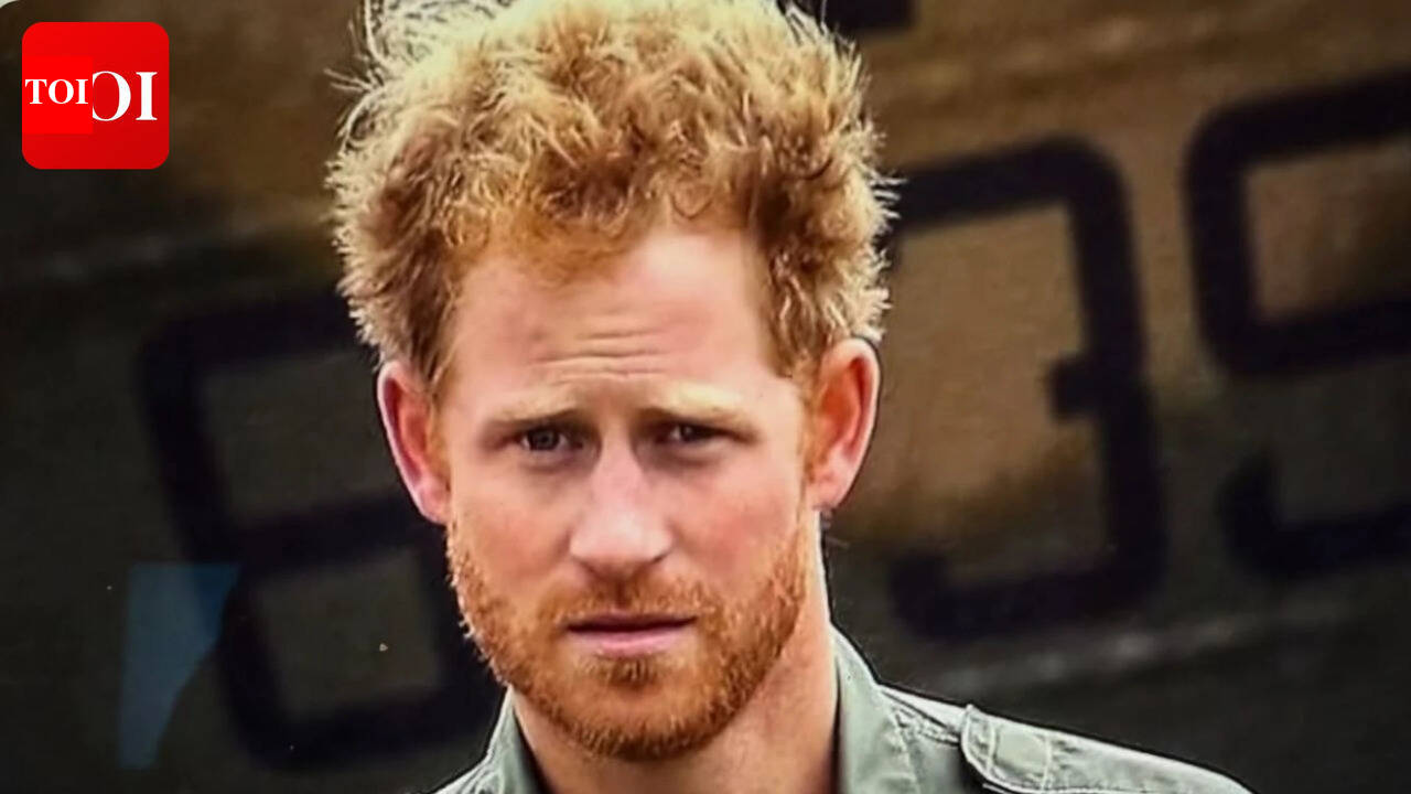 Former royal aide says Prince Harry and Prince William can reconcile: 'I'm a perennial optimist'