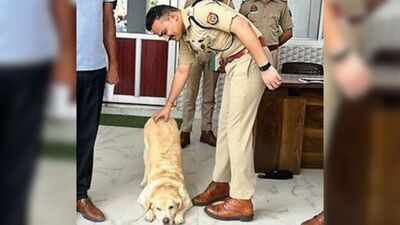 Scent of a scarf: Sniffer dog helps crack rape case of 6-year-old in UP's Sambhal