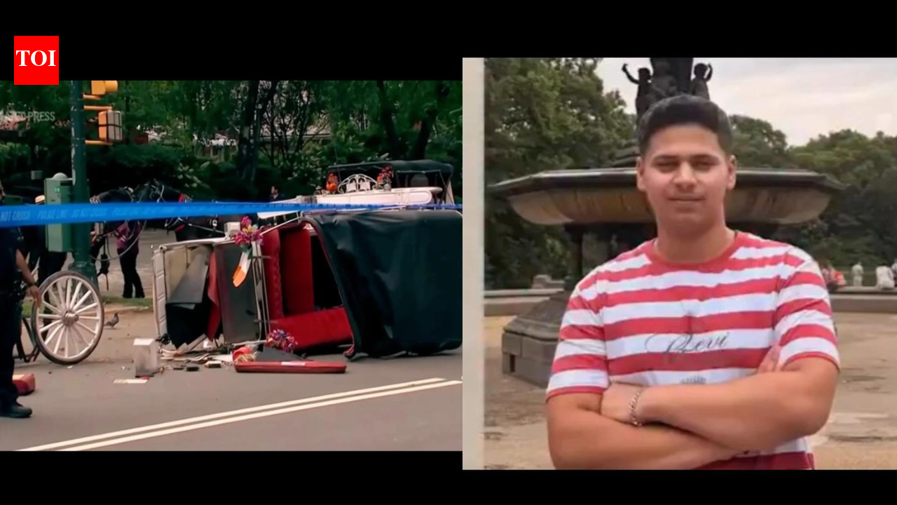 ‘Romanch's Law’: NYC bill which seeks to ban horse carriages named after Indian teen
