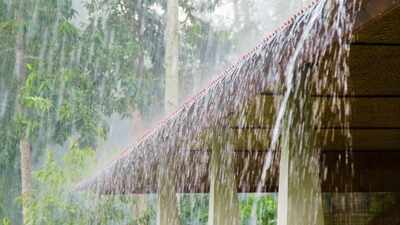 Heavy rain, storms and heat alerts across India: Travellers should watch these regions