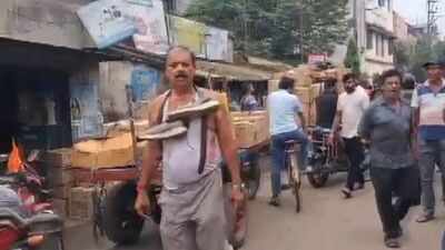 ‘Forced to do sit-ups’: Viral videos show TMC leader Sapan Samanta paraded with shoe garland; eggs, tomatoes hurled
