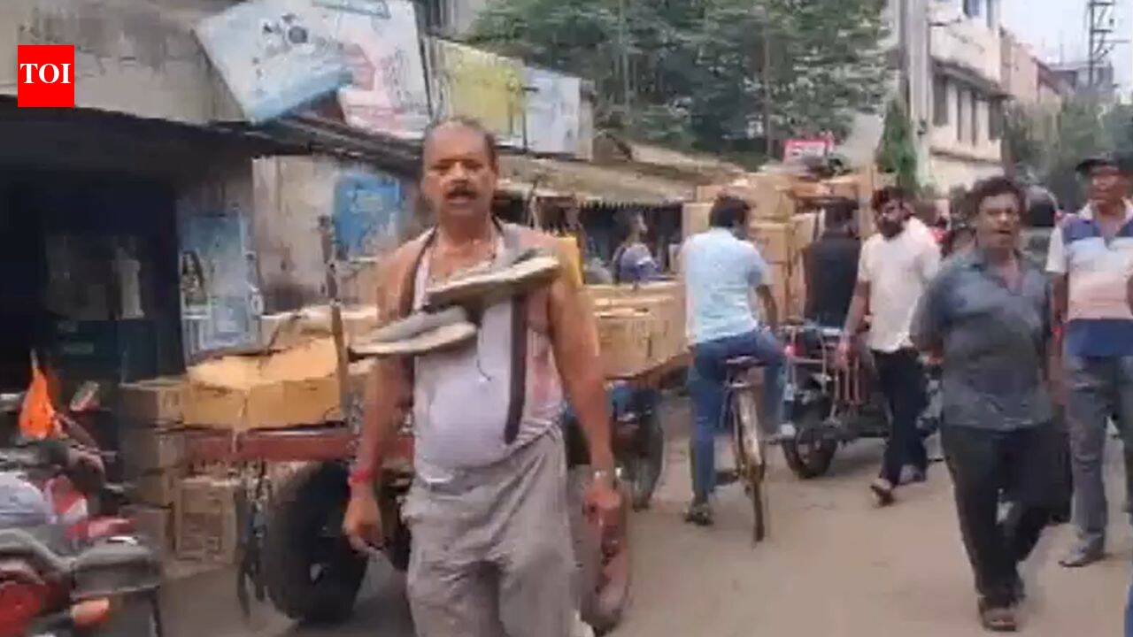 ‘Forced to do sit-ups’: Viral videos show TMC leader Sapan Samanta paraded with shoe garland; eggs, tomatoes hurled