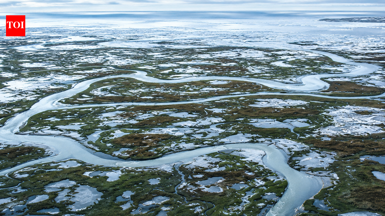 Arctic alarm: Earth's frozen carbon stores in the Arctic may stop absorbing CO2 and start releasing it by the 2050s