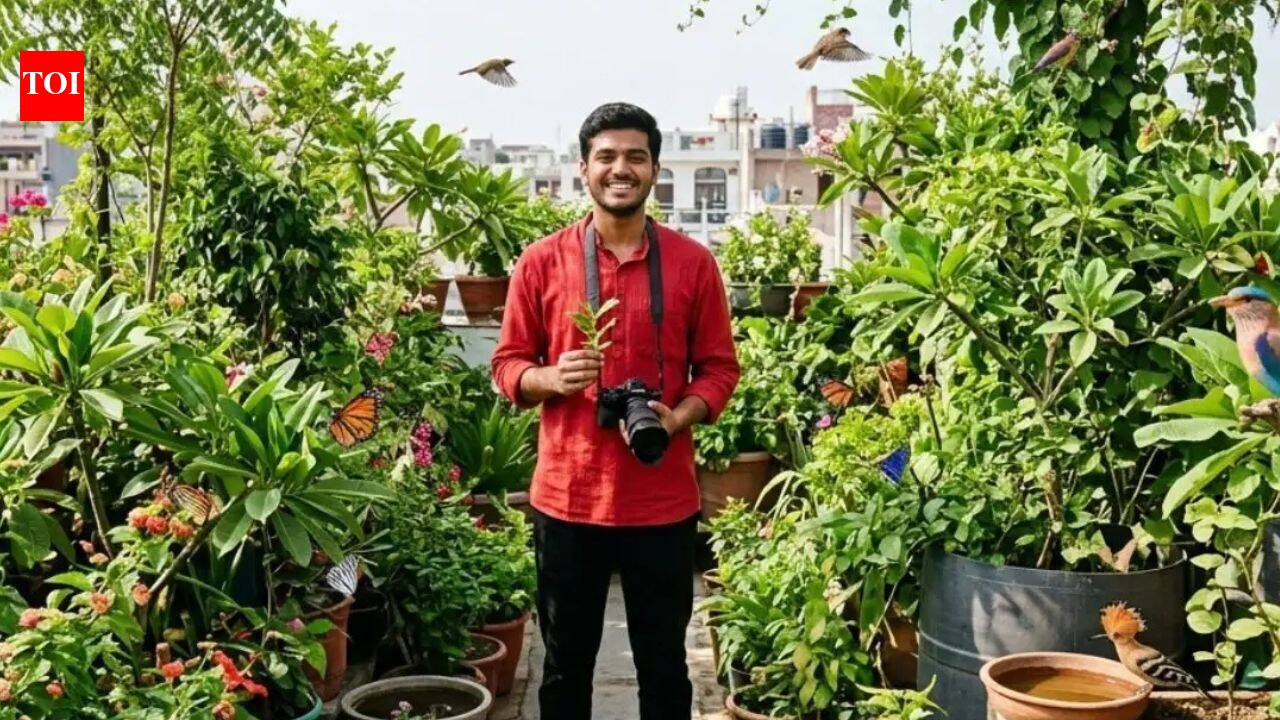 500 plants, 100 bird species, 25 butterflies: How a 23-year-old Delhi youth turned his terrace into an urban forest