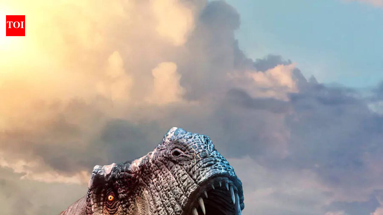 T. rex may have needed up to 40 years to reach its full eight-ton size, and that slow-burn growth could help explain why the king of dinosaurs ruled for so long, as per scientists