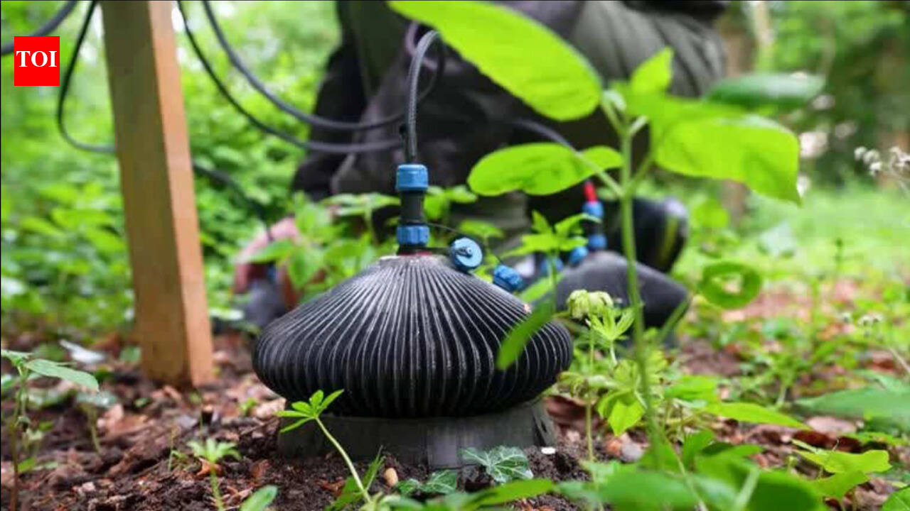 Garden Soil Powers Electronics: Bactery taps microbes for clean energy; aims at farm sensors and future homes
