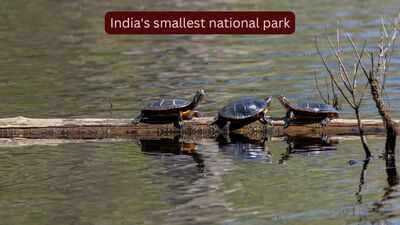 Why is it so difficult to visit India's smallest national park?