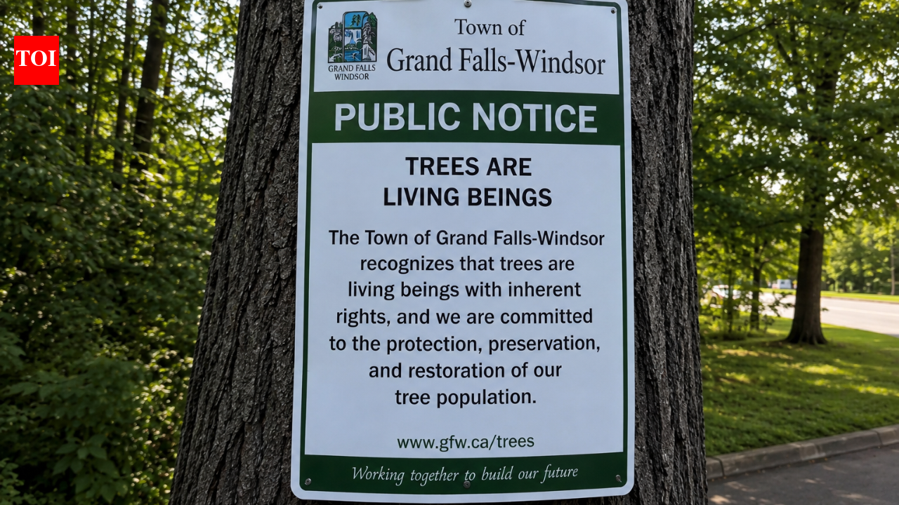 Why a Canadian town has officially recognised trees as living beings with rights