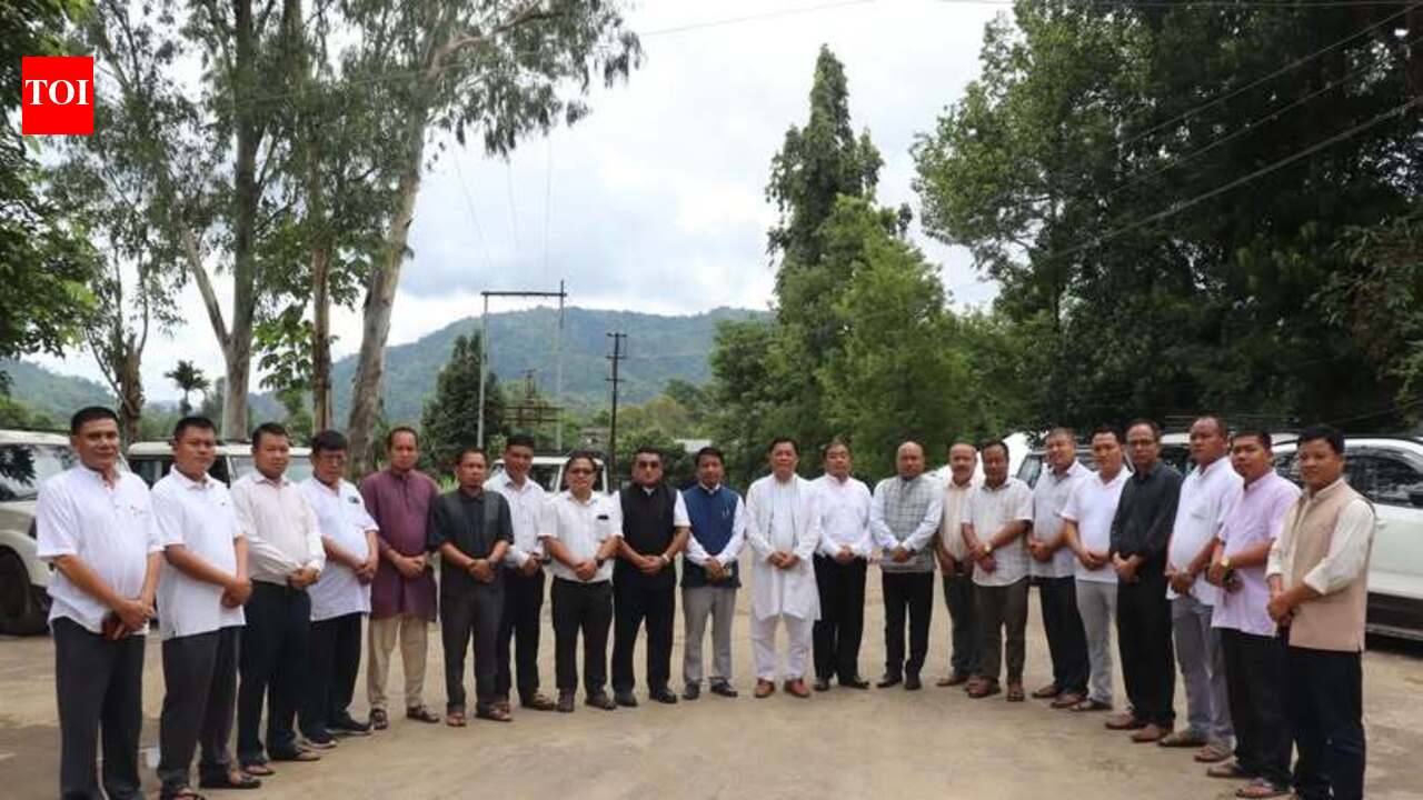 BJP-ZPM alliance stakes claim to form new executive committee in Chakma council