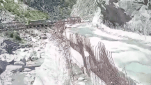 Bailey bridge collapses in Himachal Pradesh's Kinnaur; truck falls into Sutlej River