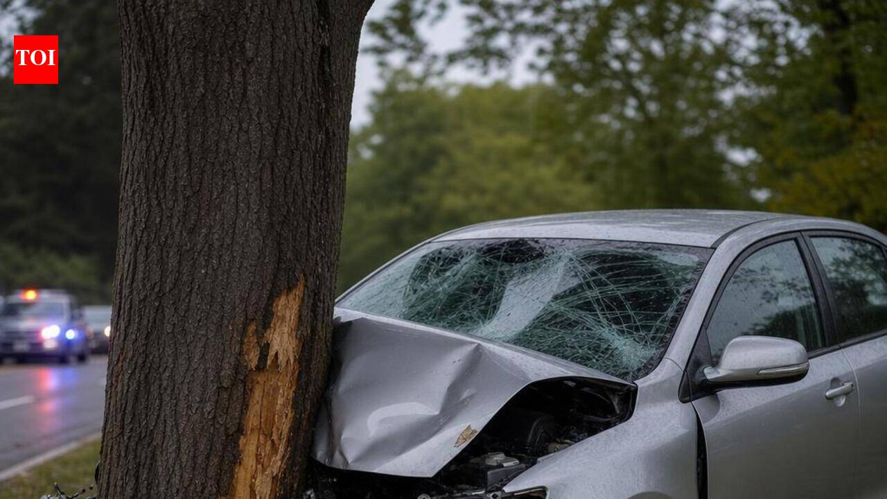 Two children among 3 killed as car crashes into tree near Sivagiri
