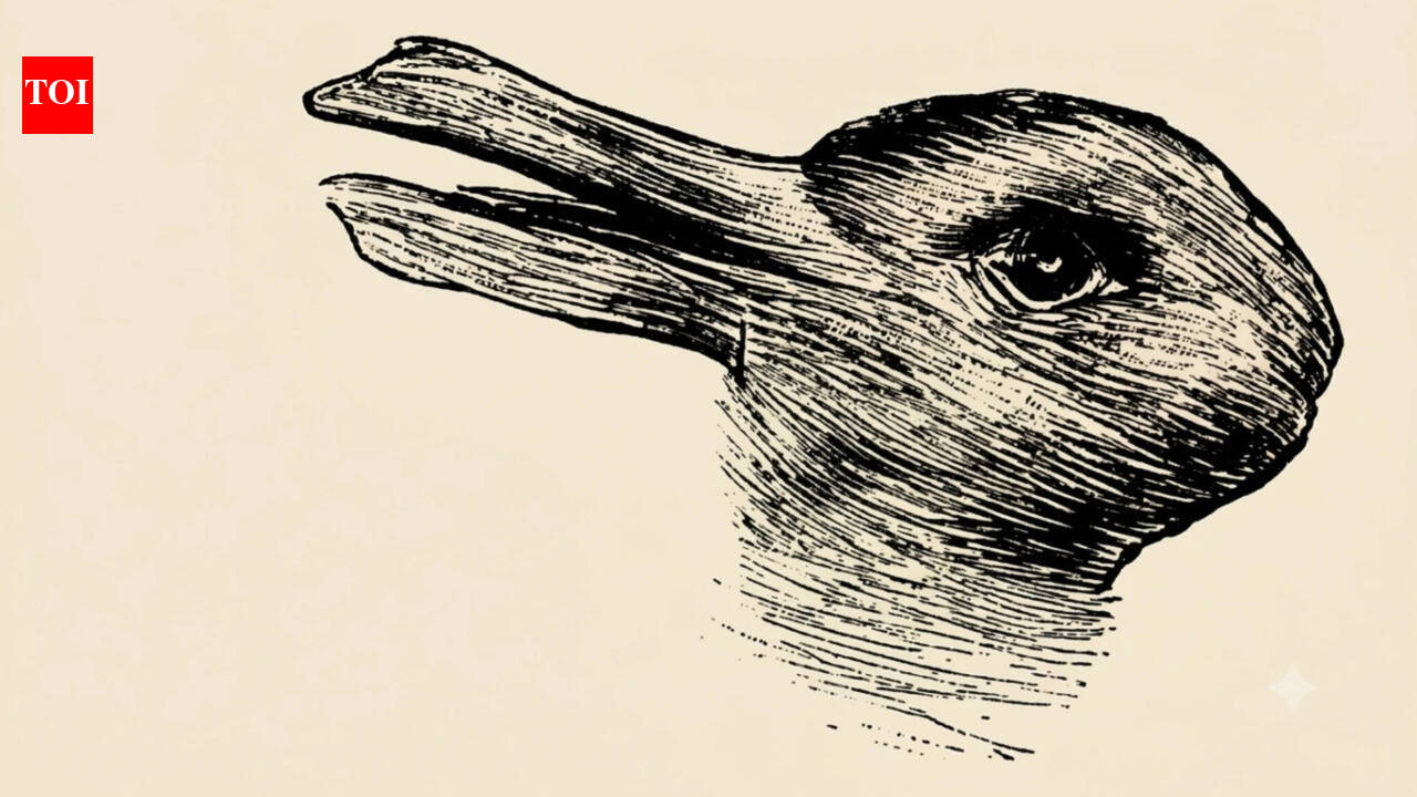 Optical illusion: What you see first reveals if you are logical or creative