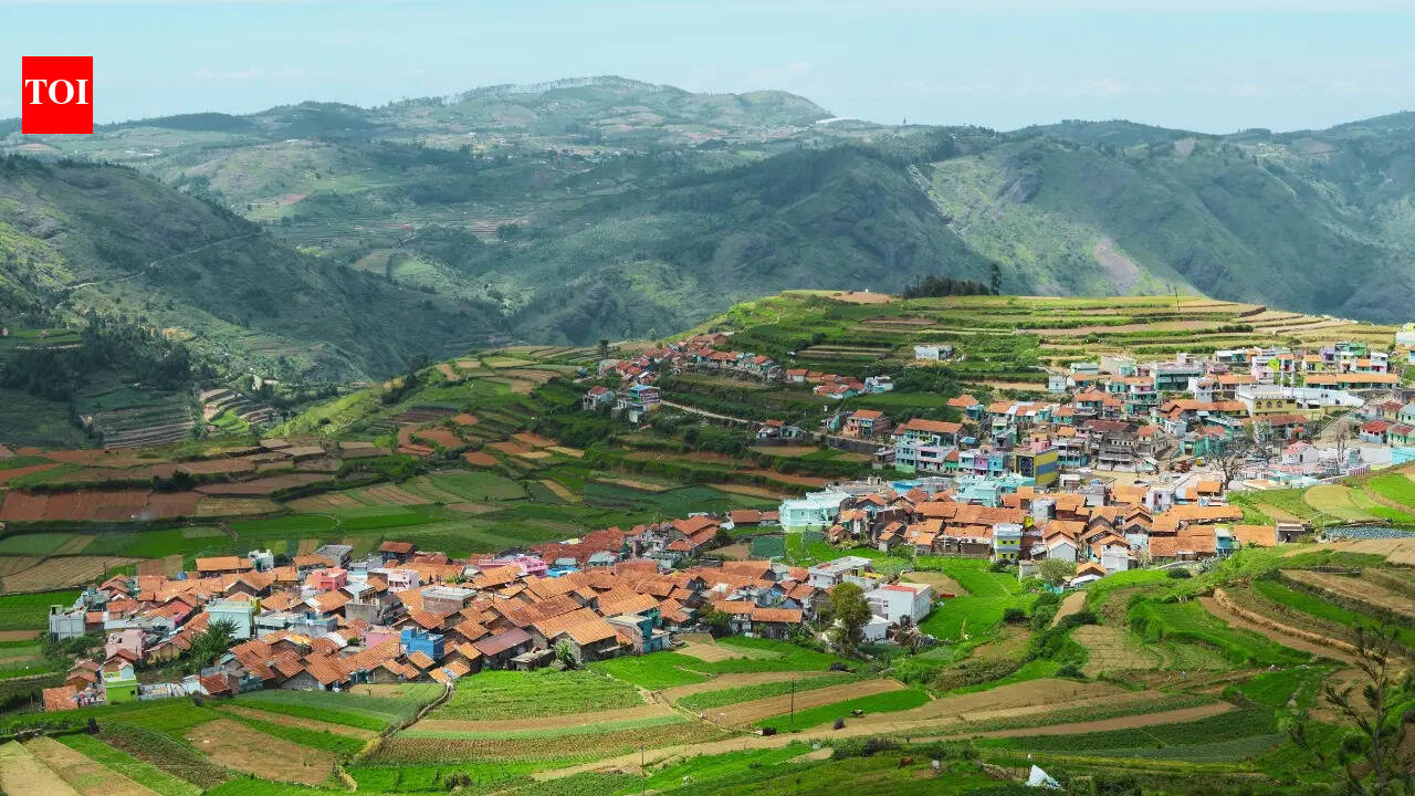 What's attracting tourists to Kodaikanal? 7 reasons this hill station continues to charm travellers