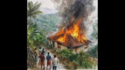 House gutted in fire, man escapes unhurt