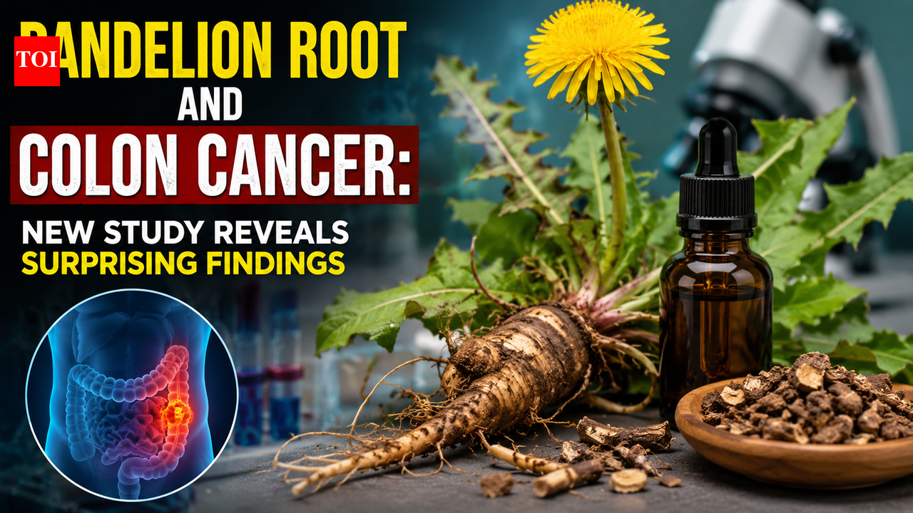 Scientists say Dandelion root killed more than 95% of colon cancer cells in the lab, but here's the catch