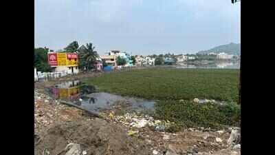 Pallavaram Periya Eri still choked by encroachments, sewage, garbage