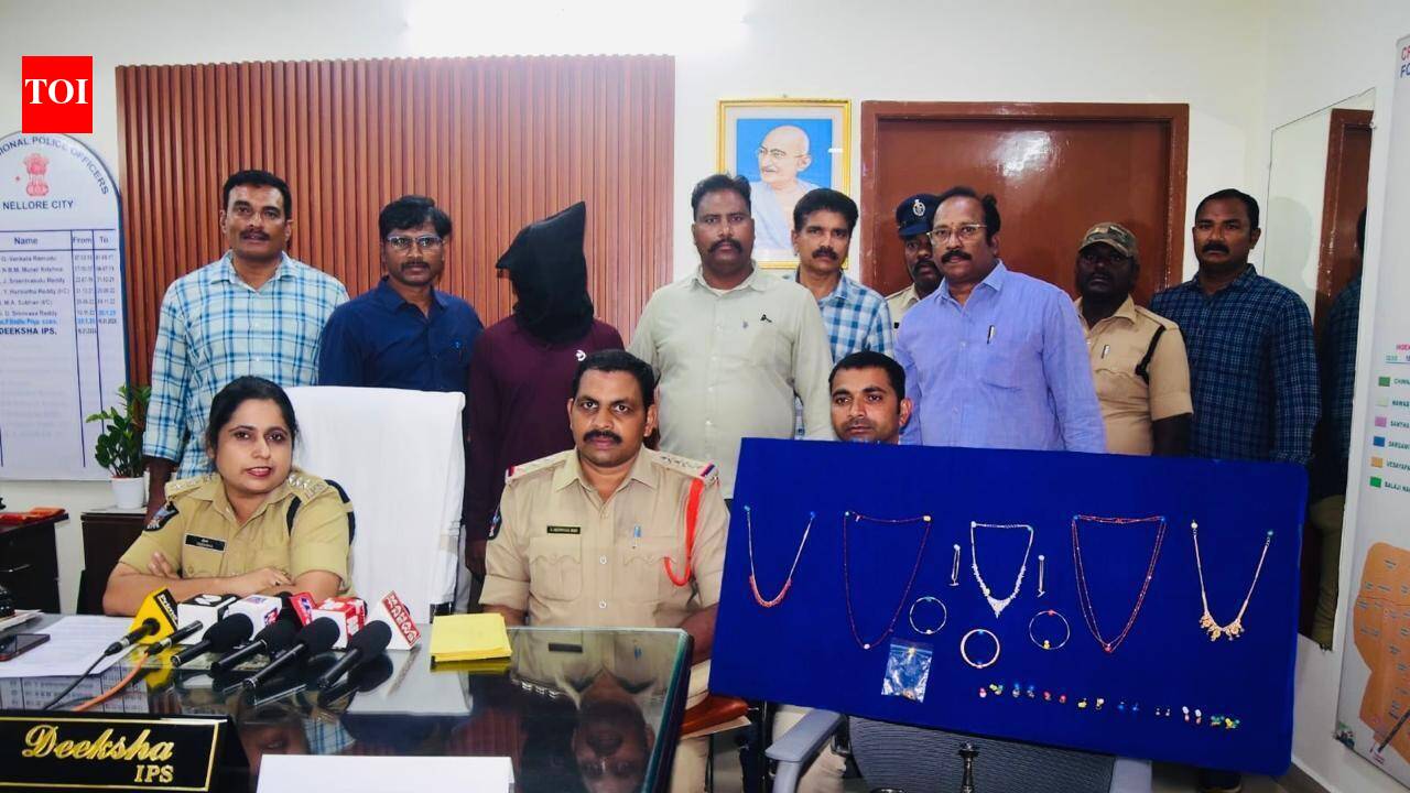 Nellore police arrest habitual offender, Rs 11 lakh worth property recovered