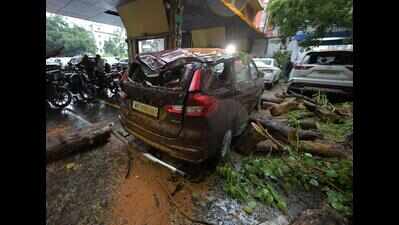 Gusty winds uproot trees, lamp posts, cripple evening traffic across central Kol