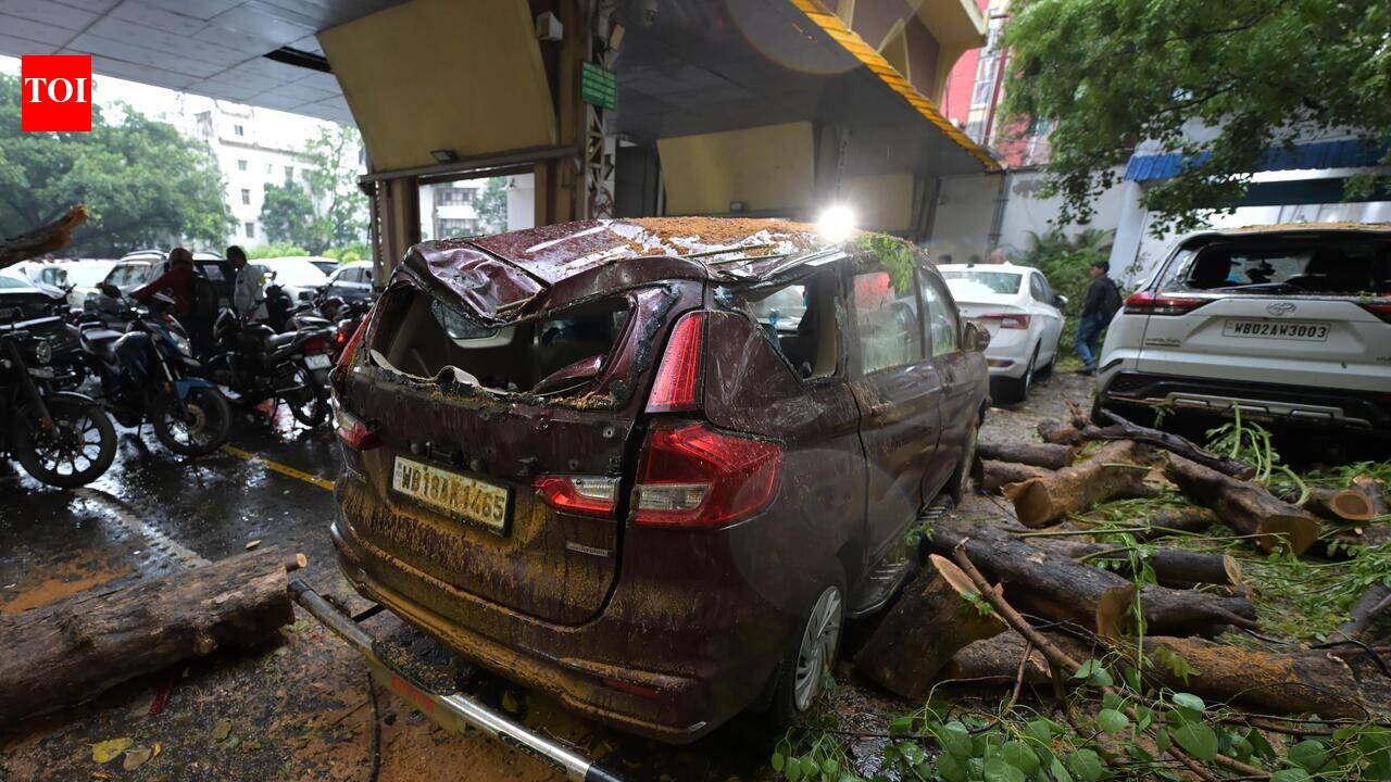 Gusty winds uproot trees, lamp posts, cripple evening traffic across central Kol