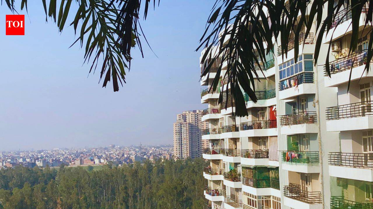 Why young homebuyers are interested in Bangalore's Sarjapura and what makes it a sought after real estate investment destination