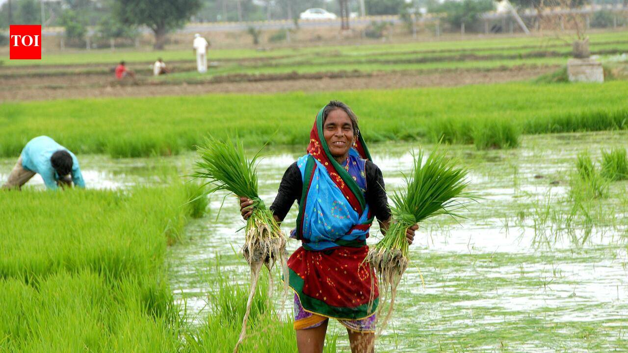 Telangana ministers urge Centre to raise rabi rice procurement target
