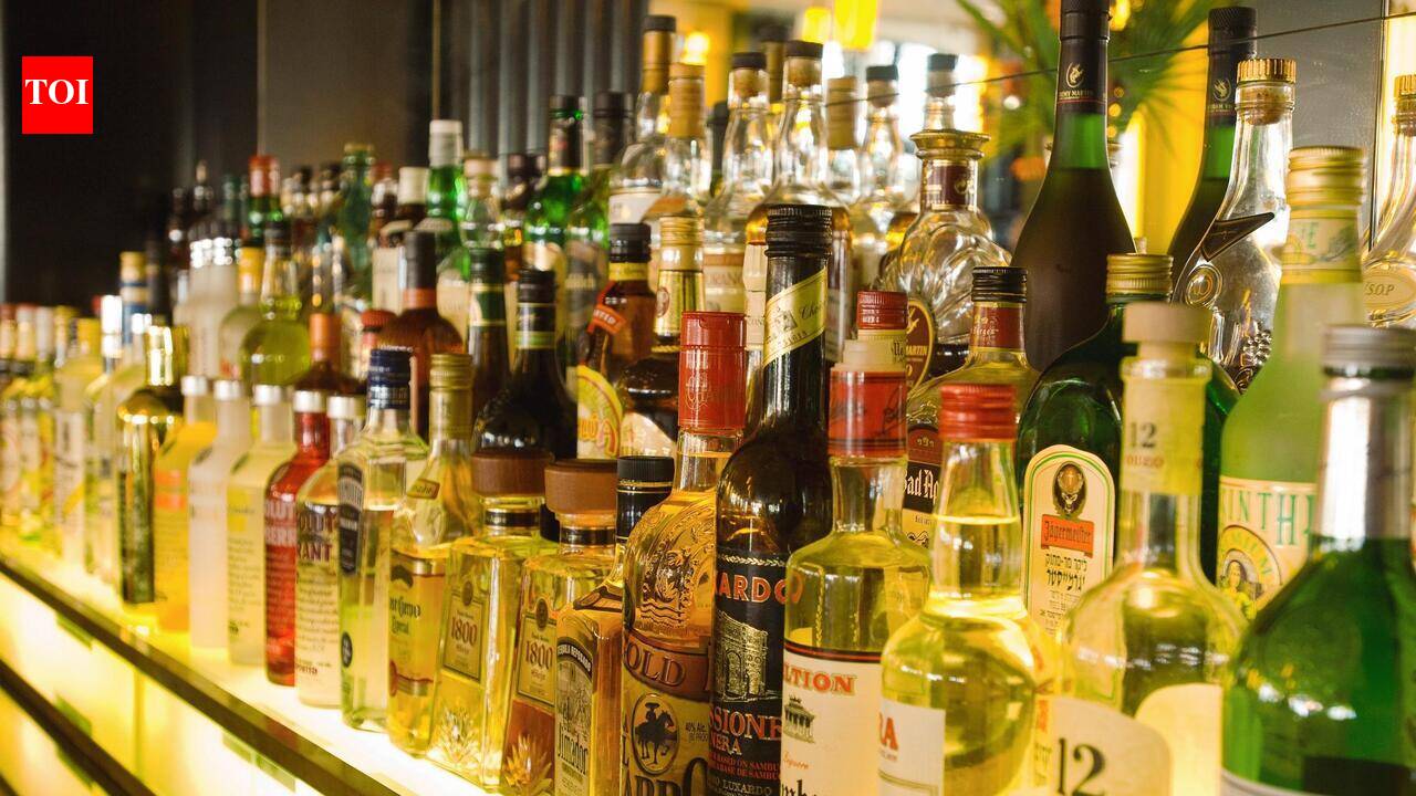 Gujarat govt mulls extending liquor relaxations to Dholera SIR