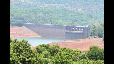 Koyna dam catchment areas report heavy rainfall, IMD issues yellow alert till Saturday