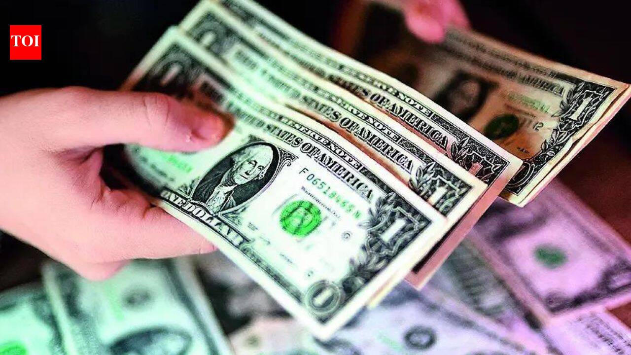 Fields of work by foreign-funded NGOs outlined, proselytisation excluded
