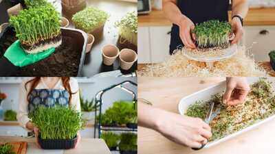  A beginner's step-by-step guide
