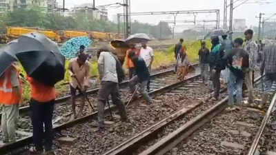 Excess water flow causes track cave-in on Mumbai's Trans Harbour line; services hit