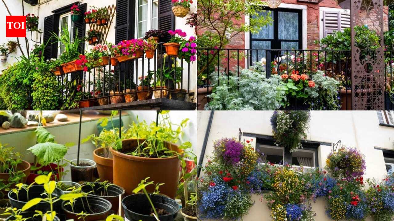 How to start balcony gardening in the UK: A beginner's step-by-step guide