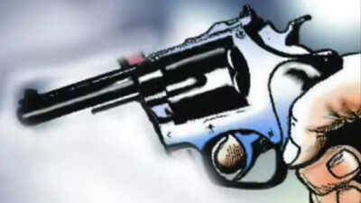 Punjab man shoots aunt, 13-year-old cousin and friend dead before shooting self; land dispute suspected