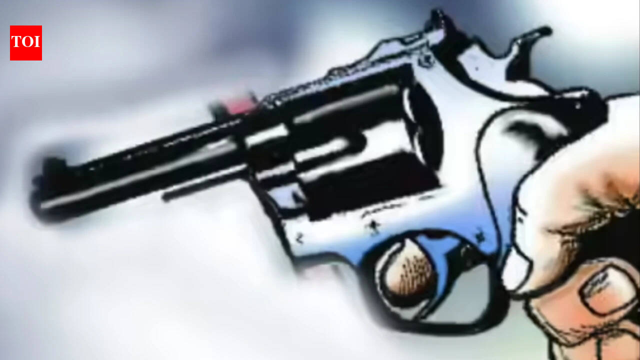 Punjab man shoots aunt, 13-year-old cousin and friend dead before shooting self; land dispute suspected