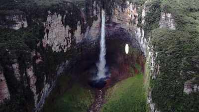  The 979-metre wonder hidden above the rainforest