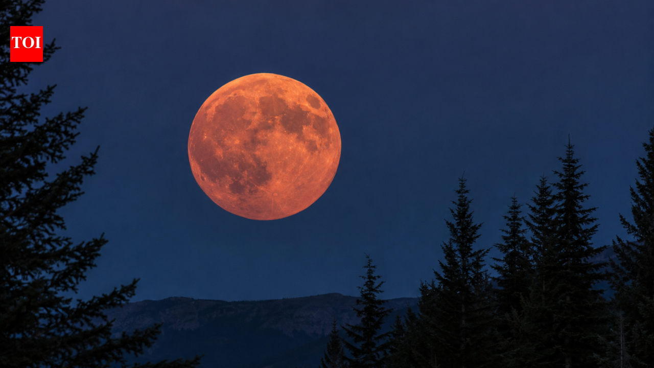 Strawberry moon 2026: When to see June’s spectacular full moon and why it will light up the night sky