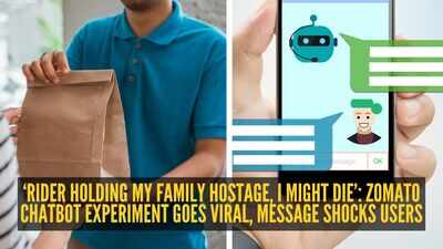  Zomato chatbot experiment goes viral, message shocks users