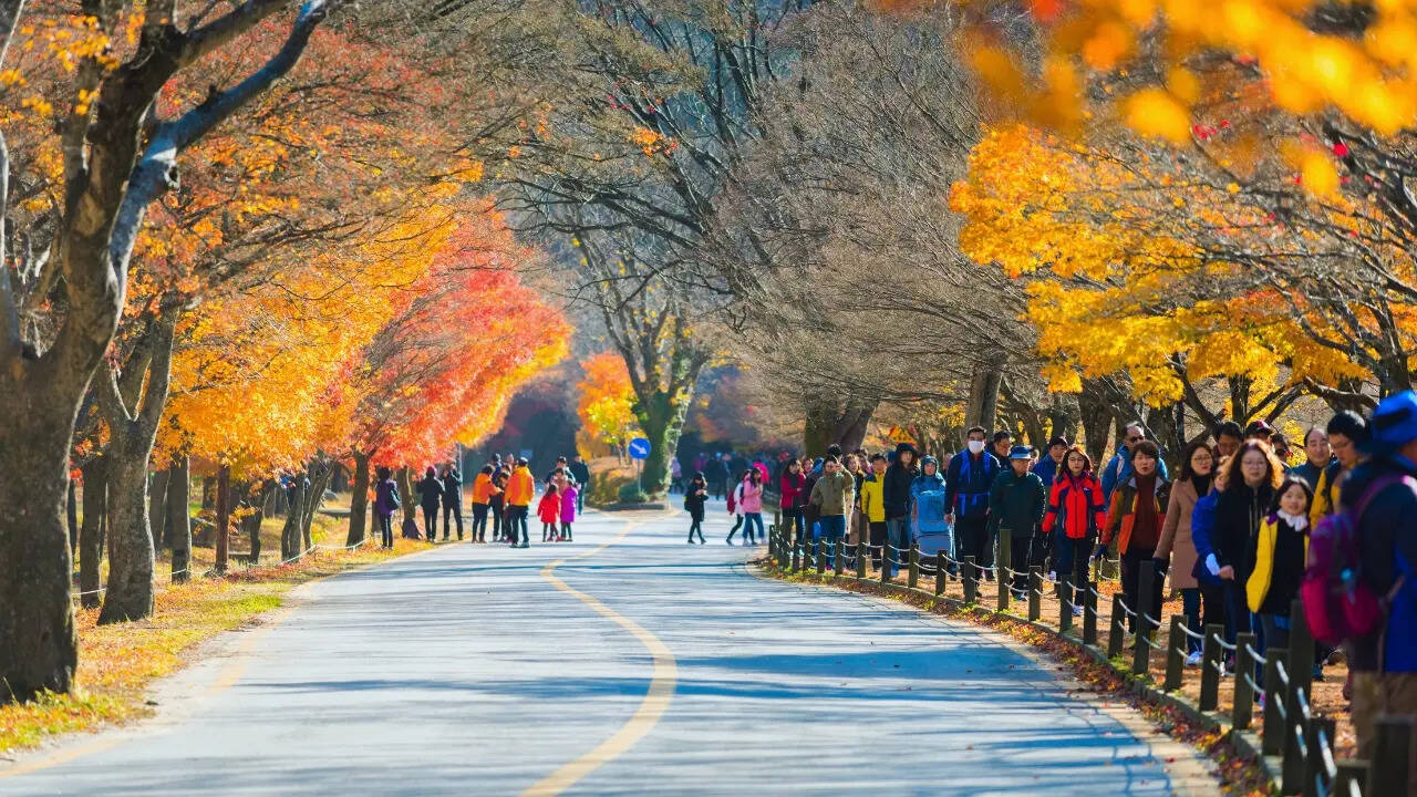 10 countries where travellers will find the people with the highest IQ