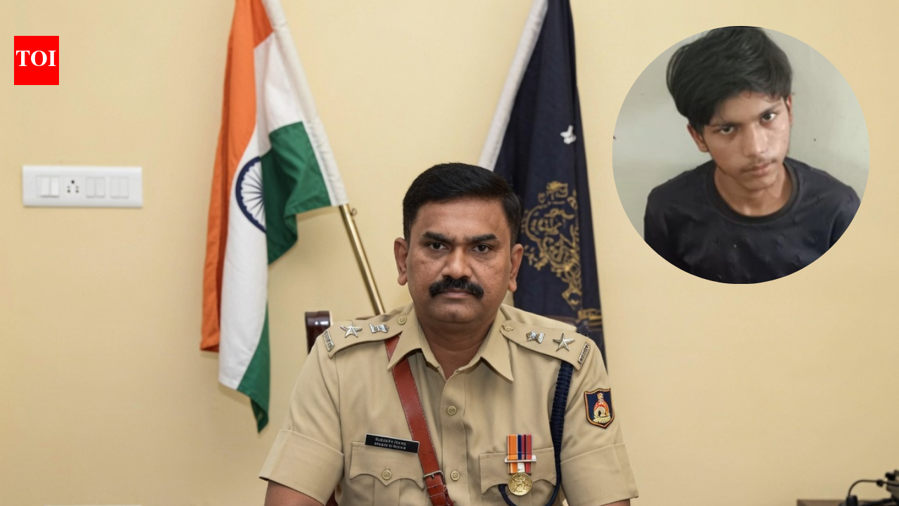 Karnataka terror probe: Migrant worker held in Davangere over links with 'Pakistan-based groups'