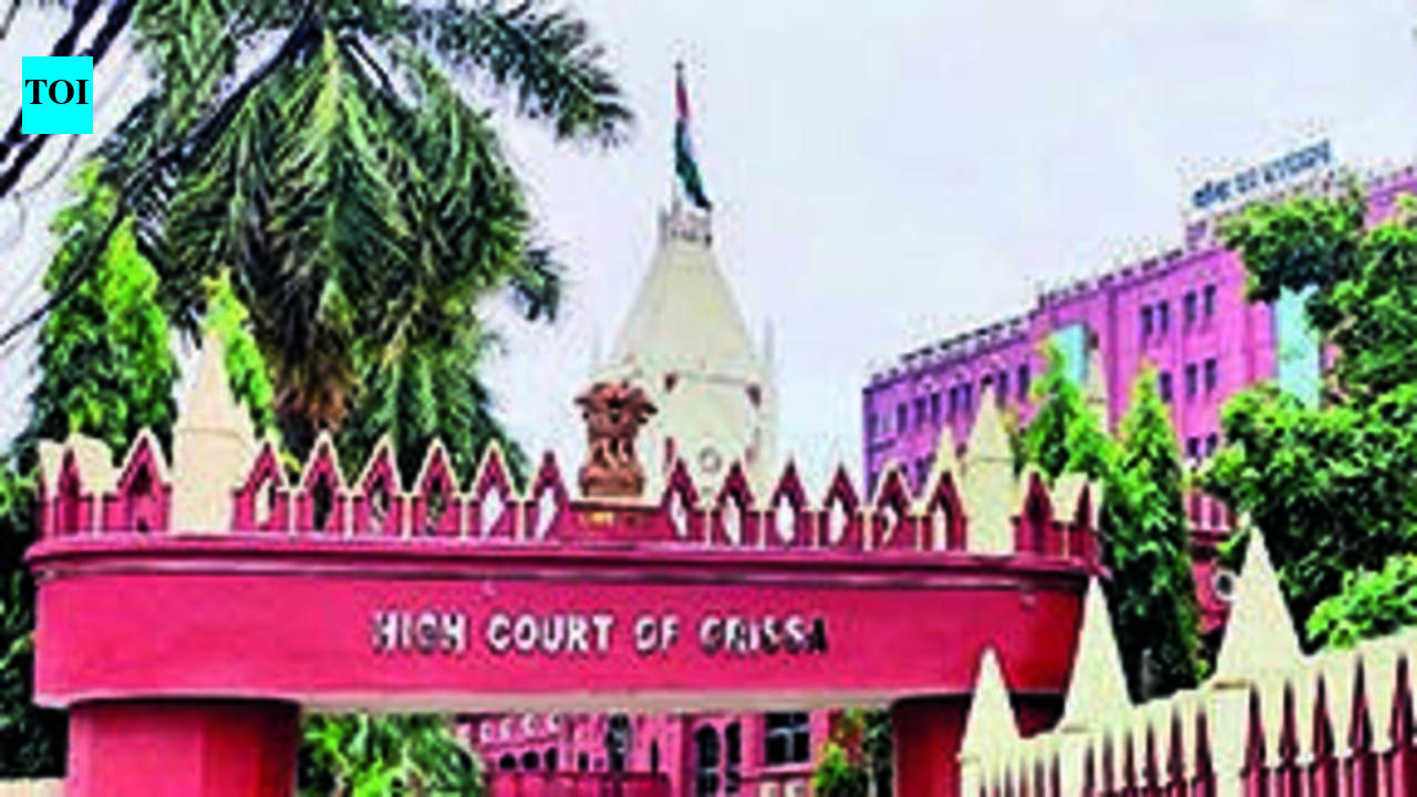 HC seeks update on missing Puri toddler, probe progress